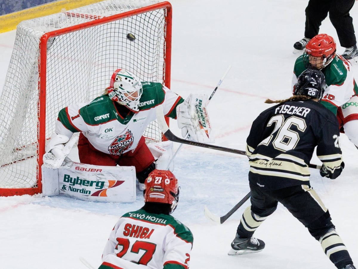 Checking in on the SDHL playoff picture — News and notes from around women’s hockey